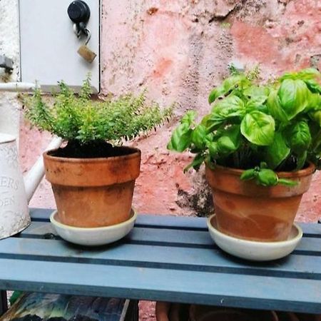 La Casa Di Mo Villa Albisola Superiore Dış mekan fotoğraf