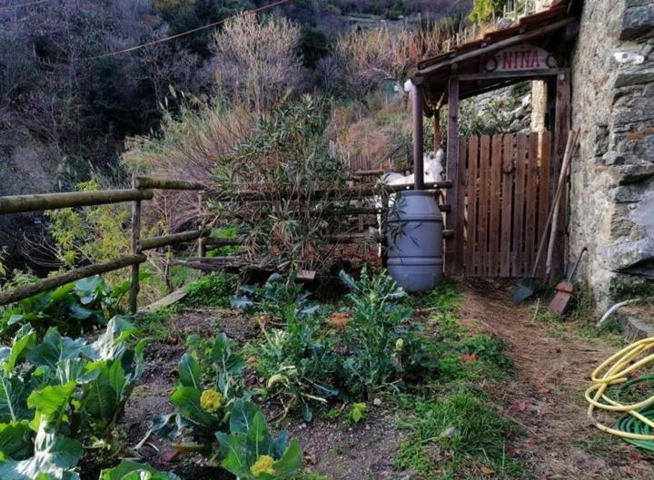 La Casa Di Mo Villa Albisola Superiore Dış mekan fotoğraf
